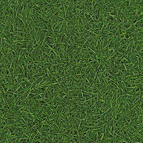 Линолеум бытовой "IVC" Bingo Grass 25 (3м) — купить в Кургане